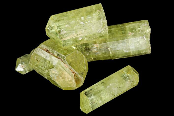 Five Yellow Apatite Crystals ( - ) - Pieces #108363